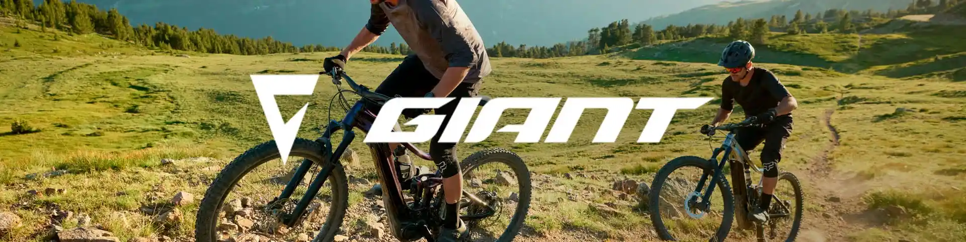 Giant sähköpyörät Giant sähköpyörät