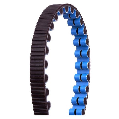 GATES CDX Carbon Drive Belt 113T  Black/blue Pitch: 11 mm, Width: 12 mm, '1/1 