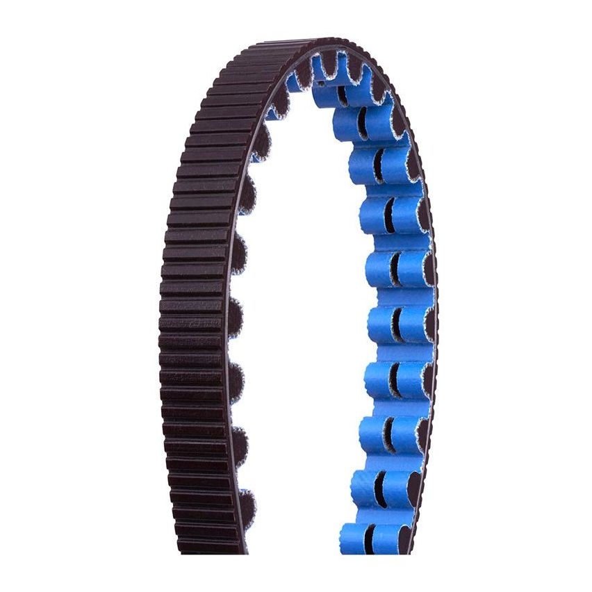 GATES CDX Carbon Drive Belt 113T  Black/blue Pitch: 11 mm, Width: 12 mm, '1/1 