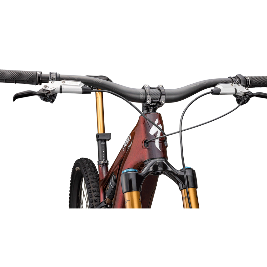 Specialized S-Works Turbo Levo Carbon G4
